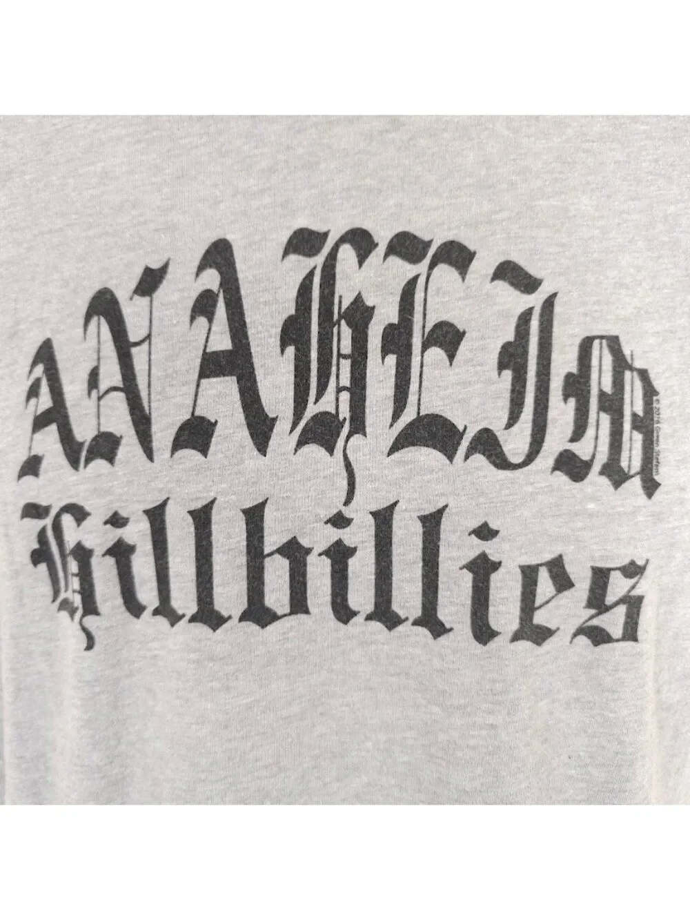 Gwen Stefani T Shirt Mens Size Medium Gray Anaheim Hillbillies Music Tee